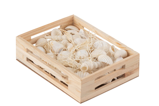 Muschel Holzkistchen gross  schenkefreude.ch