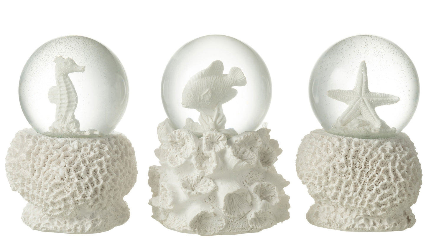 Koralle mit Wasserkugel 3er Set  schenkefreude.ch