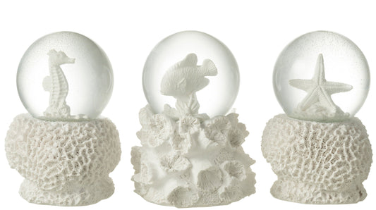 Koralle mit Wasserkugel 3er Set  schenkefreude.ch