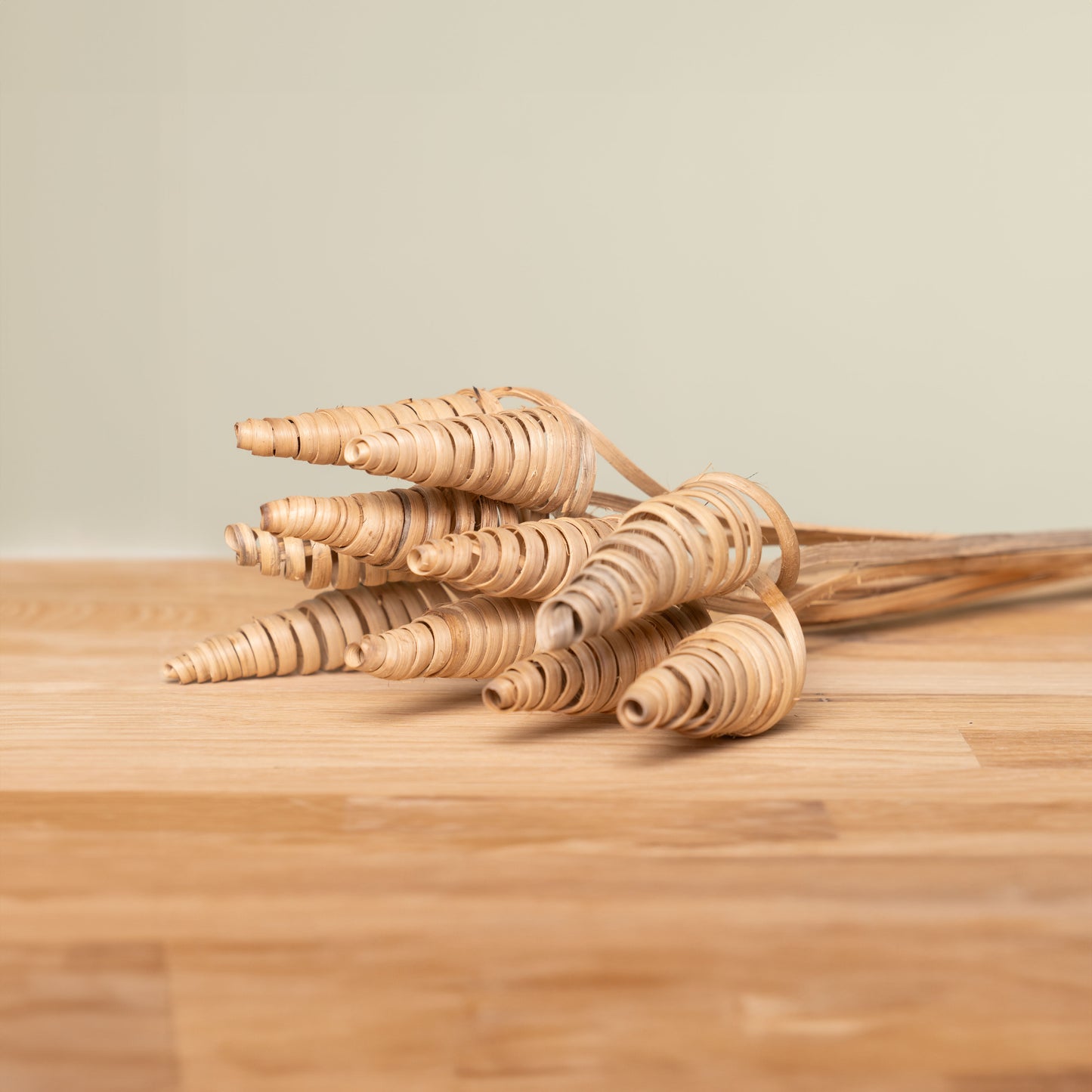 Rohrkegel nature  schenkefreude.ch