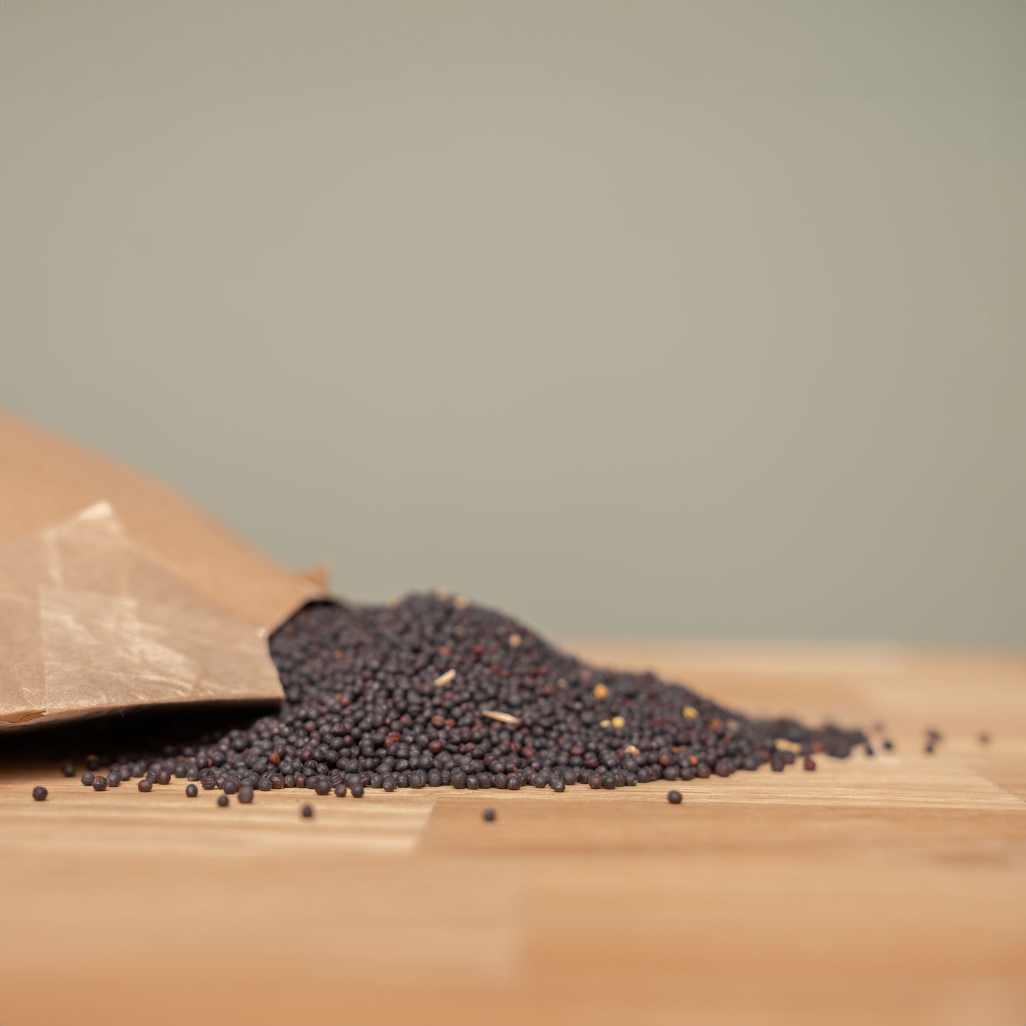 Rapskerne 1kg schenkefreude.ch