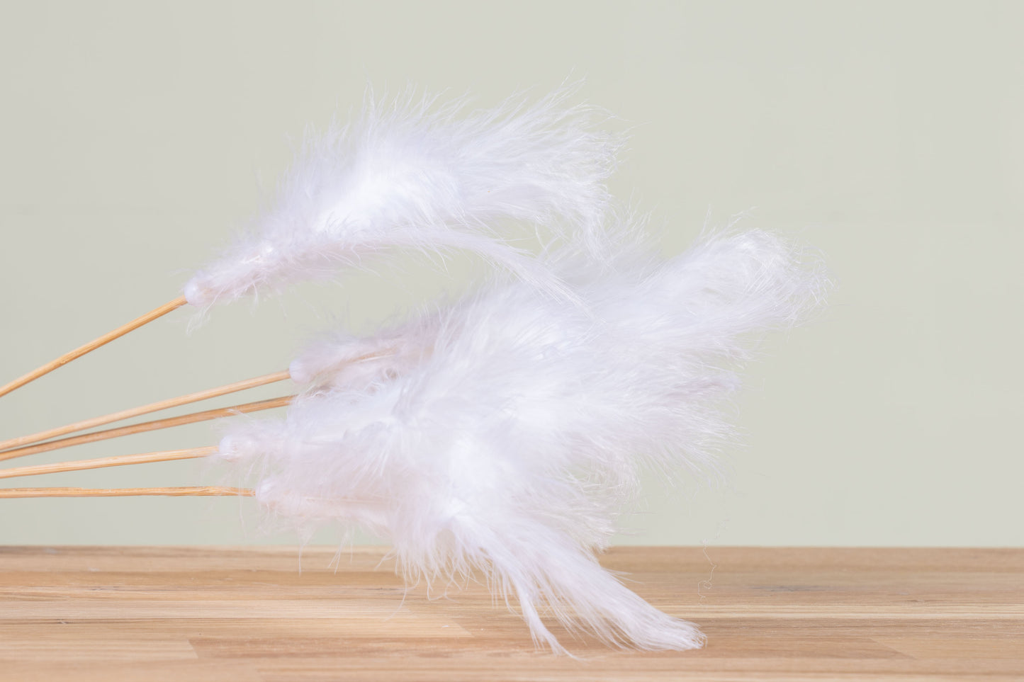 Feder Stick weiss 5er Bund  schenkefreude.ch