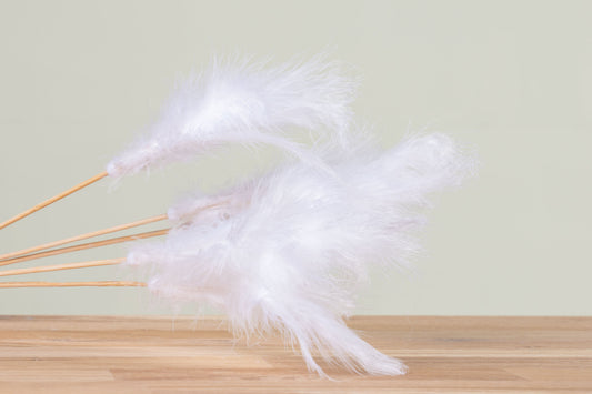 Feder Stick weiss 5er Bund  schenkefreude.ch