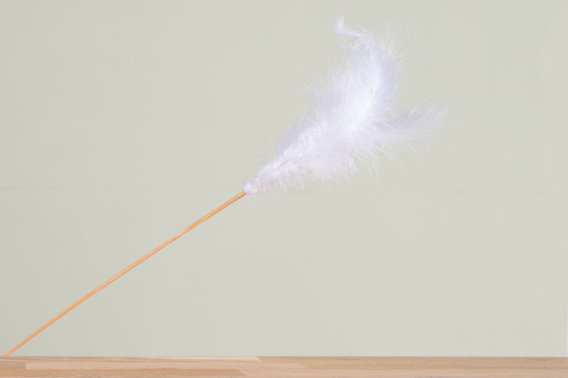 Feder Stick weiss 5er Bund  schenkefreude.ch