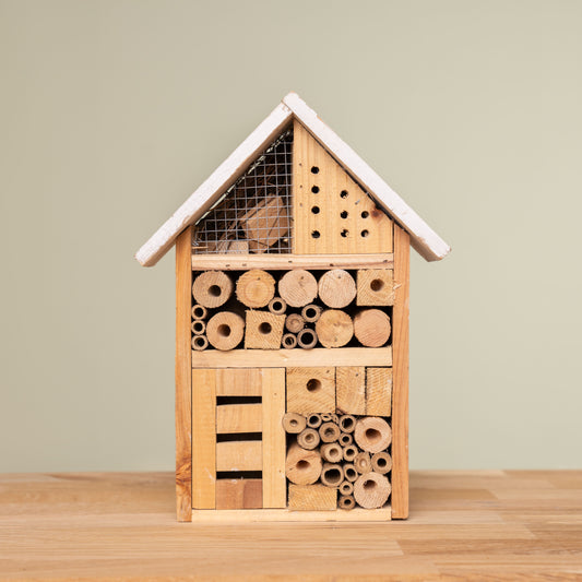 Insektenhaus  schenkefreude.ch