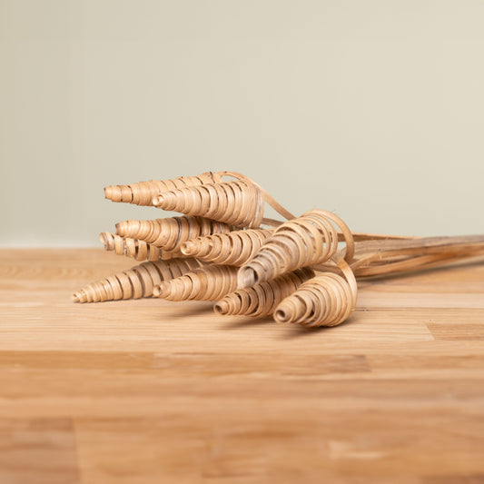 Rohrkegel nature  schenkefreude.ch