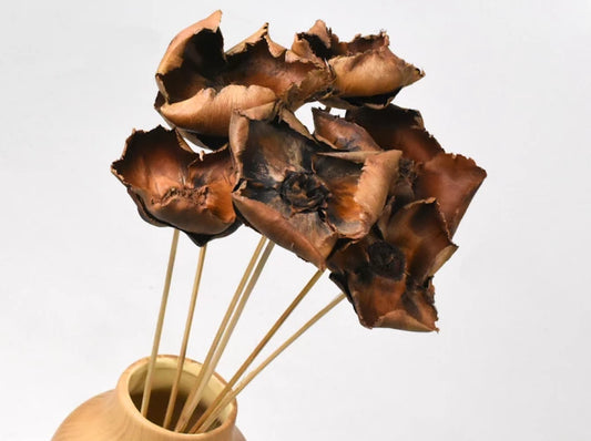 Palm Cup braun  schenkefreude.ch